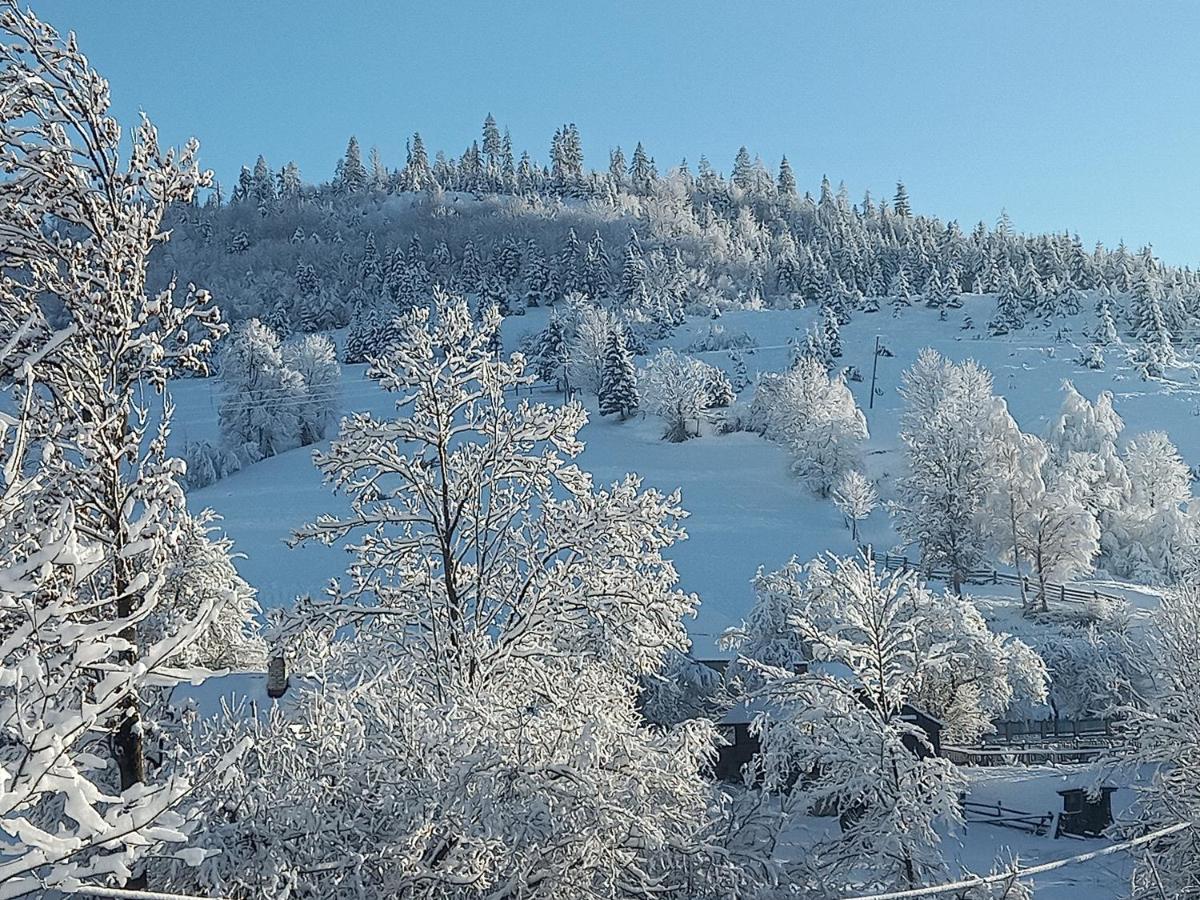 Котедж "Затишний Відпочинок" Huklyvyy Exteriör bild